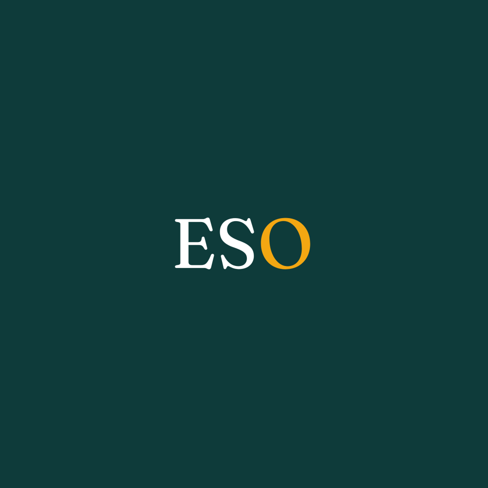 East Sussex Online splash screen